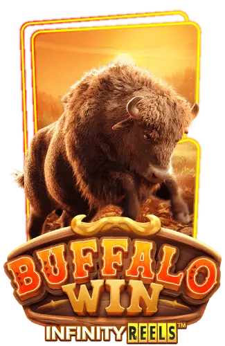 buffalo-win-1